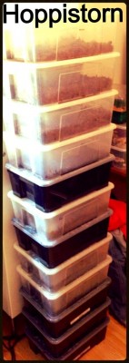 ImageUploadedByTapatalk 21369867967.662911.jpg