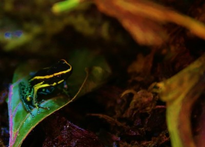 IMG_0795 (770x553).jpg