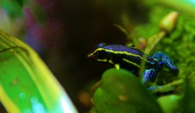 IMG_0815 (770x447).jpg