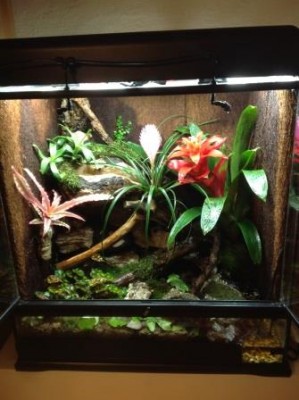 Nystartad , maj 2013