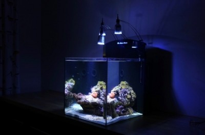 IMG_1731 (600x397).jpg