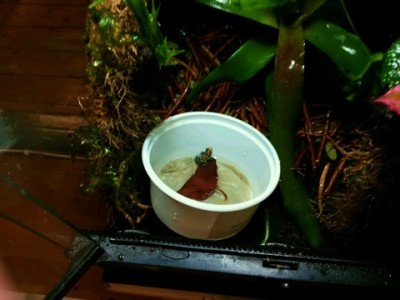 Photo 13 (1) (480x360).jpg