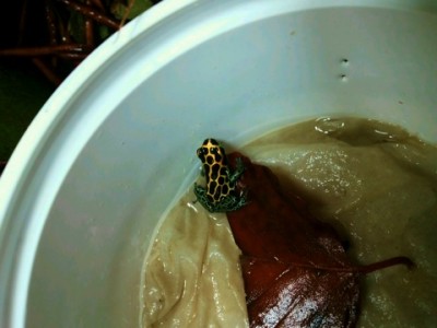 Photo 13 (480x360).jpg