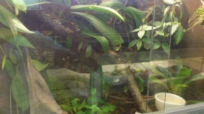 2013-12-04 18.44.56.jpg