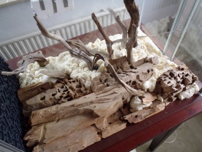 P5290696 (750x563) (600x450).jpg