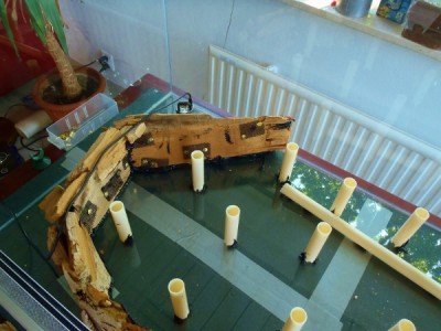 P6060705 (750x563) (600x450).jpg