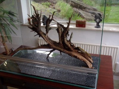 P5220692 (750x563) (600x450).jpg