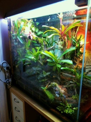 Photo 4 (1) (525x700) (488x650).jpg