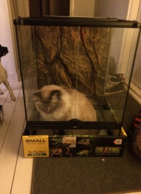 Tog inte lång tid innan första hyresgästen flyttade in..