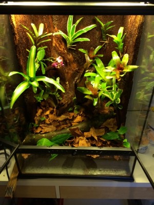 bild 2 (480x640).jpg