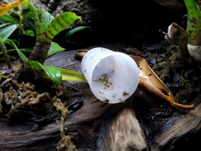 Suverän julklapp.jpg