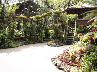 En Bild från en trevlig restaurang/trädgård/bad med en fantastisk trädgård proppad av bromelior. Då menar jag verkligen PROPPAD!