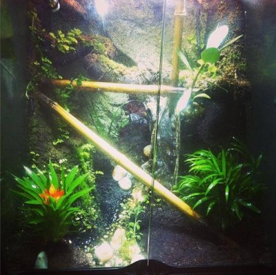 Hittade tillslut bensjungle, då började det hända grejer!