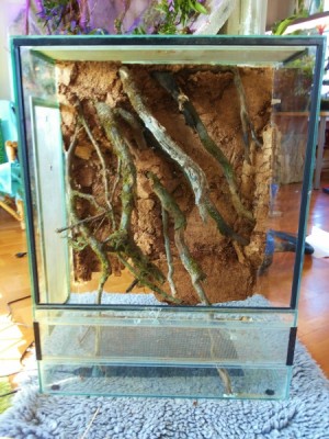 20140330_142755 (450x600).jpg