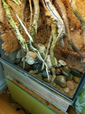 20140401_181517 (488x650) (450x600).jpg