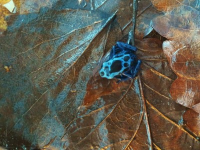 20140402_173817 (600x450).jpg