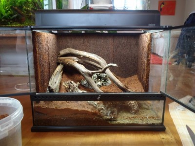 P4140013 (650x488).jpg