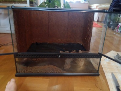 P4140007 (650x488).jpg