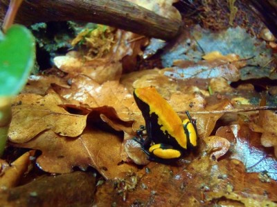 P4140058 (550x413).jpg