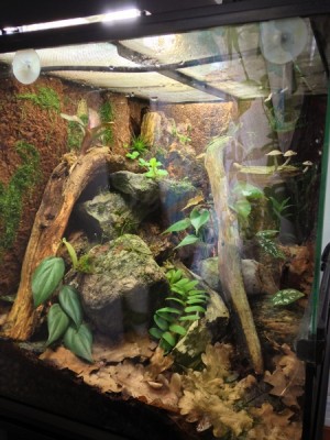 IMG_0133 (450x600).jpg