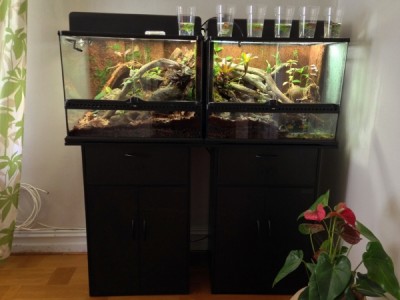 IMG_0115 (600x450).jpg