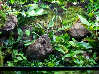 Terrariet_2014_08.jpg