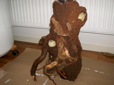 Helbild från sidan.