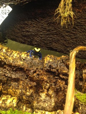 2015-07-30 13.28.46.jpg