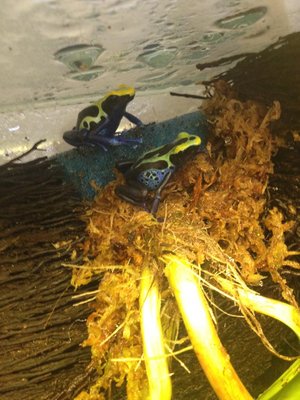 2015-07-30 13.29.32-1.jpg