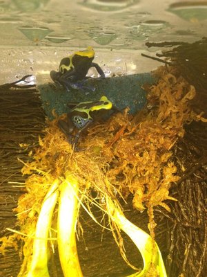 2015-07-30 13.29.42.jpg