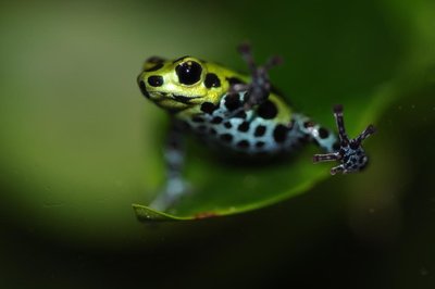 DSC_0033.jpg
