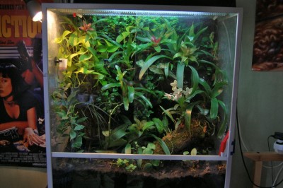 terrarium09.jpg