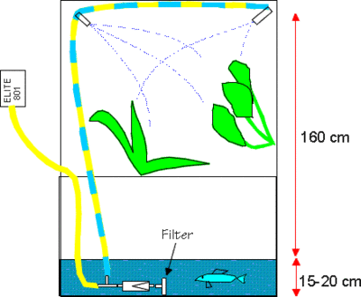 BEVAENG2.GIF