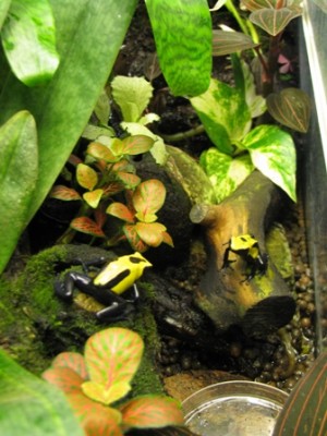 Who are you looking at, punk?