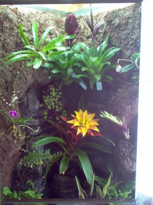 gammel kameran mindre.JPG