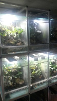 2016-02-25 23.09.33_resized.jpg