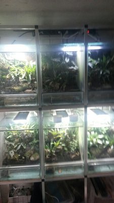 2016-02-25 23.10.24_resized.jpg