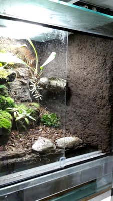 20160426_215840_resized (1).jpg