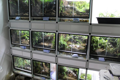 © Stu @ Dendroboard | Thanx mate for letting me use the pic!