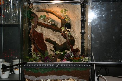 Det här är mitt första, <br />men kommer bygga ett nytt snart.