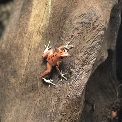 Visst är jag snygg?