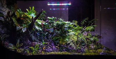 terrarium december.jpg