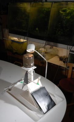 L0917 333.jpg