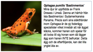 Grodinfo exempel.png (154.35 KiB) Visad 6170 gånger Exempel ...