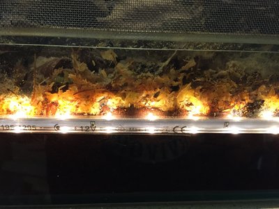 2017-01-13 09.55.10.jpg