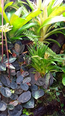 20170115_213359 - Kopia.jpg