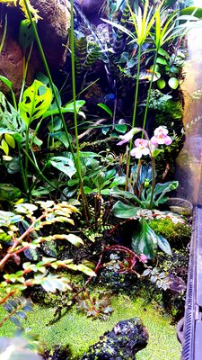 20170115_200031 - Kopia.jpg