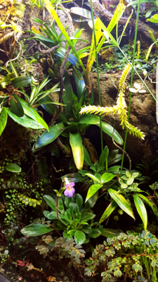 20170115_195843 - Kopia.png