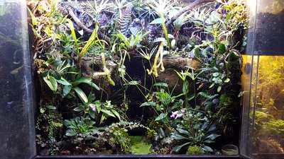 20170115_195256 - Kopia.jpg