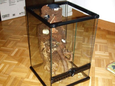 Moddning av "stammen".